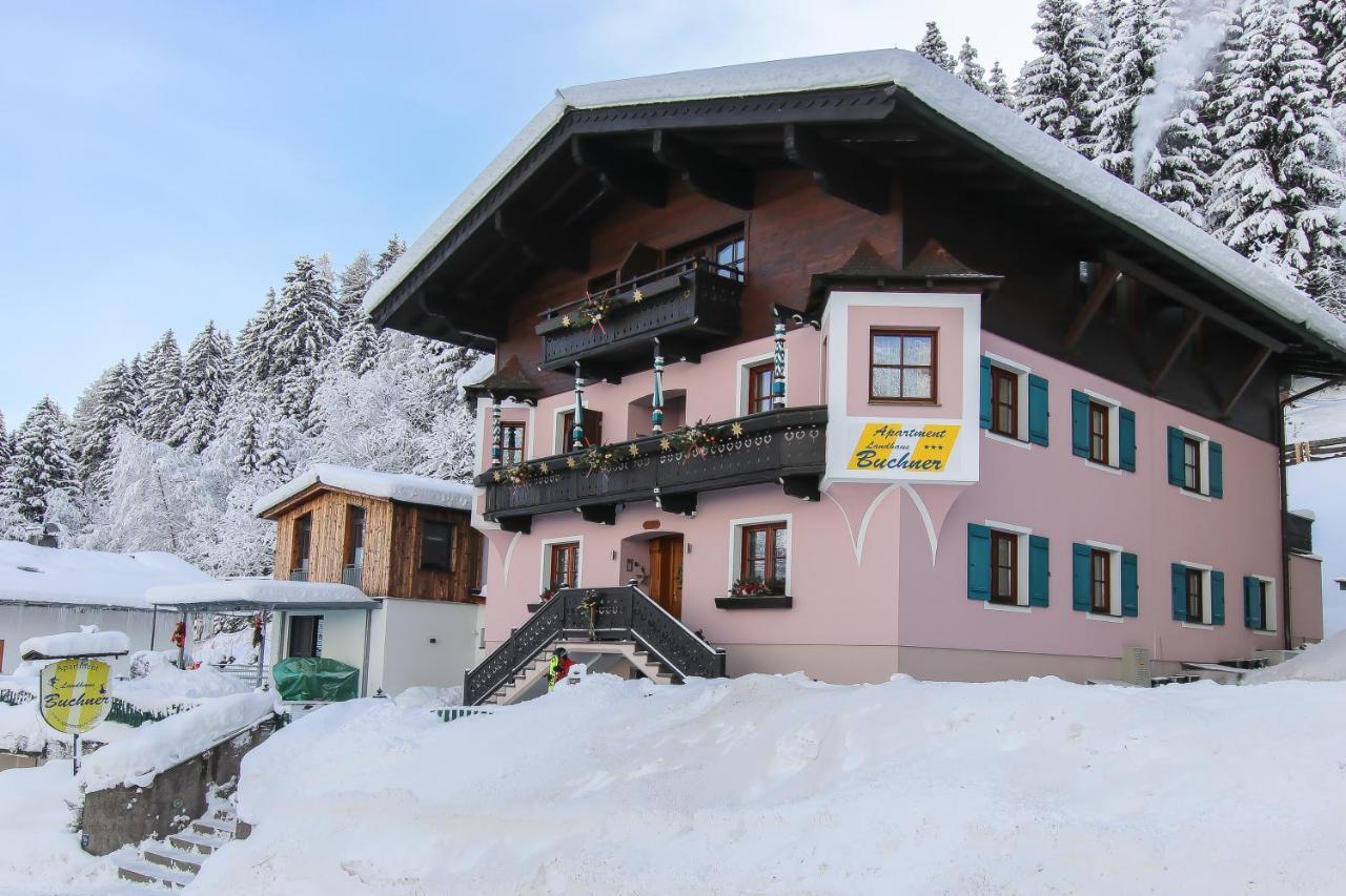 Apartment Buchner Zell am See